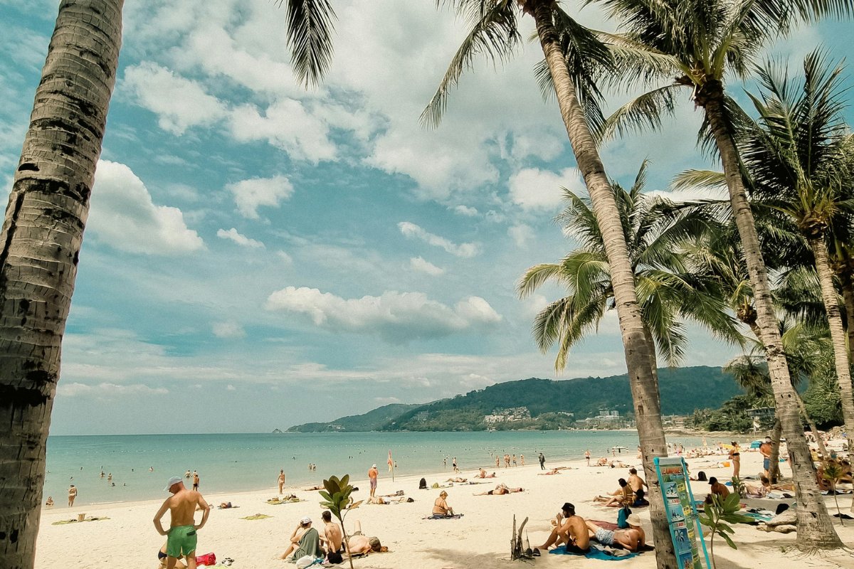 Plage bordée de palmiers en fin d'été, symbole des vacances qui se prolongent au-delà de la rentrée